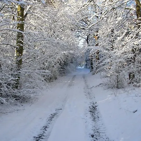 فندق مبيت وإفطار Gregersminde بيلوند