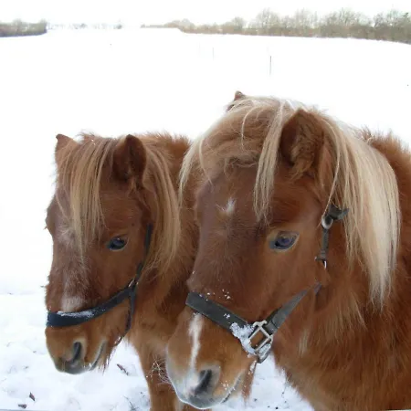 Nocleg ze śniadaniem Gregersminde *