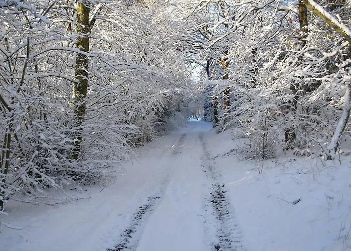 Panzió Gregersminde Billund