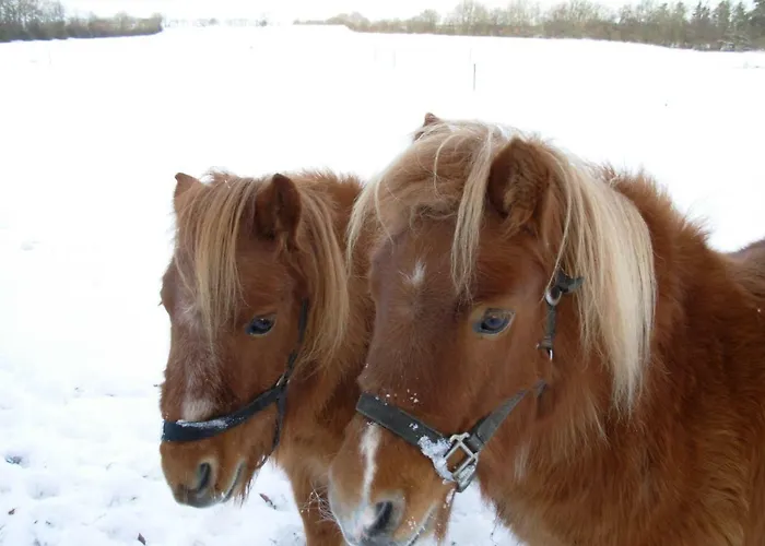 Panzió Gregersminde *